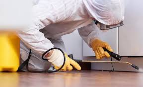 Best Real Estate Pest Inspections  in Wapakoneta, OH